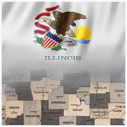 Illinois   3D Oak Map